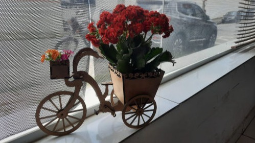 Mobirise Website Builder